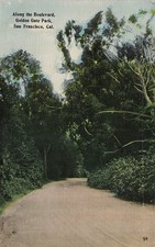 San Francisco CA California Golden Gate Park Boulevard Tree Vtg Postcard 15A picture