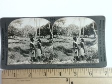 Fiji Islands Stereoview Keystone View Co. 1900s Ethnographic Curved Mount picture