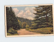 Postcard Along the Approach Road picture