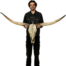 70 in Longhorn Wall Decor,Handmade Retro Bull Horns,Extra Large Restore Realisti picture