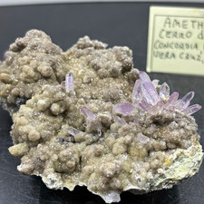 Amethyst On Matrix Specimen Cerro de la Concordia, Las Vigas, Veracruz, Mexico picture