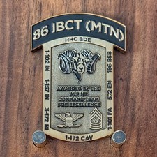 86 IBCT MTN Alpine Command Team Mountain Challenge Coin W#20 picture