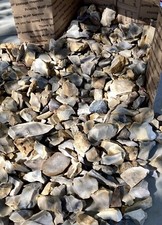 COLORFUL TX ~Chert/Jasper Rough Rock Tumbling~ 20+ LB Lots *Med. FR Box Full picture