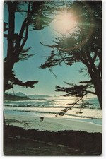 Carmel Beach in Carmel-by-the-Sea, California VTG Postcard CG5. picture