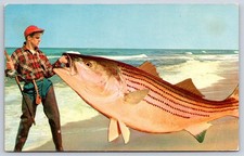 Fisherman with giant exaggerated striped bass tall tale art 1960 picture