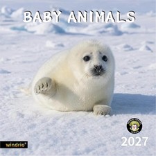 Windrio 2026-2027 Wall Calendar Baby Animals 12x24 picture