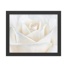 Trademark Fine Art Pure White Rose Black Frame 16x20 picture
