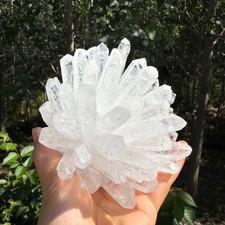 2.2LB Large Natural White Clear Quartz Cluster Crystal Mineral Healing 1pc picture