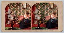 I'm Jiggered If I'll Kiss Your Dog Stereoview 72C Color Comic Scene picture