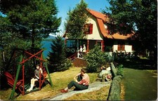 Cliff Lodges Newfound Lake Bristol NH New Hampshire Visitors Postcard UNP VTG picture