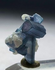 Saturated Top Quality Indicolite Bunch Type Cluster Specimen picture