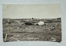 Antique RPPC 1918 Tornado Disaster Anoka MN Farm Animal Cows Woman Postcard picture