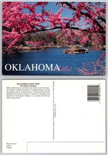 Oklahoma Redbud State Tree Postcard - Tulsa Prairie Production Company picture