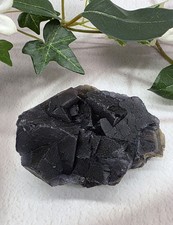 UV Reactive Black Rose Fluorite Pakistan | Rare Fluorescent Crystal Specimen picture
