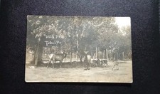 RPPC Tarkio MO Deer Park Herd Atchison County Real Photo Postcard 1910 picture