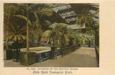 c1906 Postcard 533.B Interior of Reptile House New York Zoological Park Unposted picture