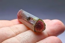 Terminated Watermelon Tourmaline Crystal From Afghanistan - 64 carats picture