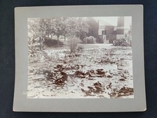 1893 antique PHOTO chicago il LINCOLN PARK LILY POND garden architecture picture