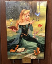 2026 Disney Parks Princess Aurora I Wonder Dylan Bonner Canvas Wrap LE COA New picture