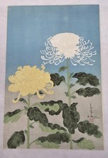 Beautiful Bakufu Ohno Yellow Chrysanthemum Signed Japanese Woodblock Print picture