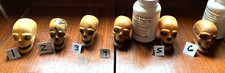 HTF Vintage 1960's Plastic Vinyl Winking Skull w Rhinestone Eyes Pick 1 $75 picture