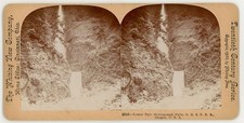 OREGON STEREOVIEW - Multnomah Falls (lower) - Whiting View Co c1900 picture