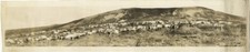 c.1930's PHOTO USA PANORAMA REINDEER HERD NOME  ALASKA 54