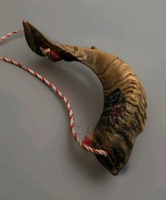 Vintage Israeli Hand-Painted Shofar Ram Horn with Flowers & Brass Mouthpiece 14