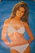Vintage 1972  Raquel Welch pinup poster  24