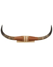 Authentic Small Steer Horns Tan picture