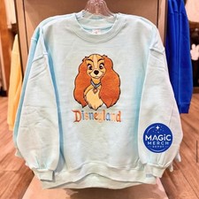 2026 Disney Parks Disneyland Pastel Lady Light Blue Pullover All Sizes picture