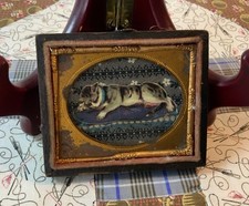 Vintage Antique Victorian Trade Cared Ephemera Framed, Union Case, Kitty Cat picture