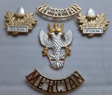 Mercian Regiment Insignia Assorted British Army Regimental Badges of the Mercs picture