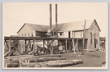 RPPC Saw Mill Birnamwood WIS Wisconsin Logging Lumber Industry Postcard 1900s picture