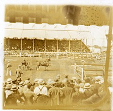 Antique Glass Slides Lot 7 Americana Horse Show Stadium People View #B137 picture