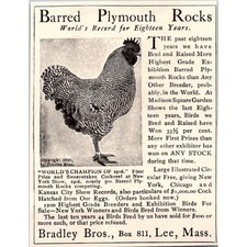 Bradley Bros. Barred Plymouth Rocks Lee MA 1908 Magazine Ad SAH1-M2 picture