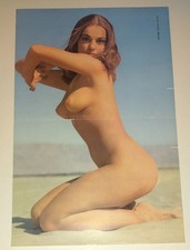 Vintage 1950s Diane Weber Pinup Photo Art Mosaic Los Angeles Layout Set LotAn picture