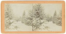 NEBRASKA STEREOVIEW - Omaha - Winter Scene - JM Calhoun 1890s picture