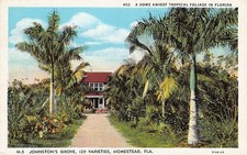 Postcard FL: Johnston's Grove, Homestead, Florida, WB 1920's picture
