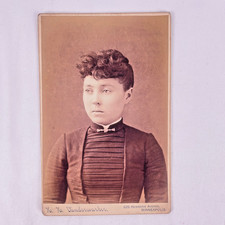 Victorian Lady cabinet card Fancy Clothes Antique HH Vanderwarker Minneapolis picture