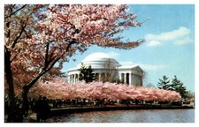 postcard Jefferson Memorial Washington D. C. 8598 picture