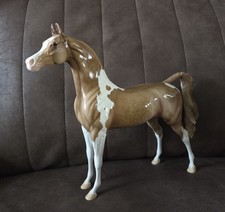 Apple Fritter 2014 Glossy Pinto Arabian picture