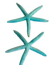 Starfish Sea Star Christmas Ornaments Decor nautical Coastal Christmas picture