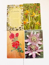 4 Vintage Postcards Floral Lot Mouth Painted Art Passion Flower Unused picture
