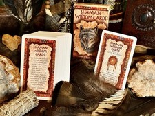 Complete Shamanic Ritual Altar Kit. Shamanic Drum, Flutes, Tools, Books, Smudges picture