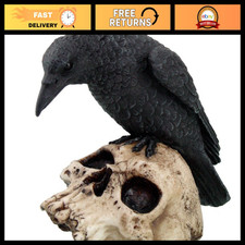 Halloween Black Raven on Skull Statue - 5 Inch Decorative Figurine for Home Deco picture