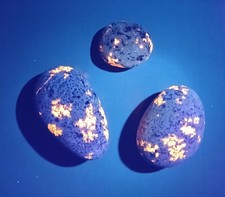 Fluorescent Sodalite ( Yooperlite )   A Group Of 3 Bright Stones 2.8 oz Total  picture