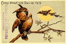 Kenton Baking Powder Victorian Trade Card c1882 Humorous Owl Moon Potter Parlin picture