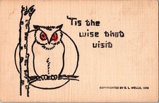 1906 R.L. Wells Owl Postcard 