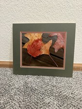 Vintage 1989 Iowa State Fair Exhibited Photo Print -
